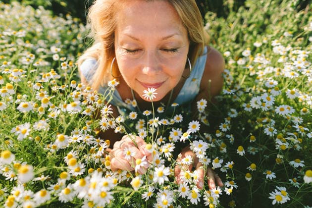 Smiling woman smelling chamomile flower outdoors in a sunny meadow model released, Symbolfoto, SIF01634
