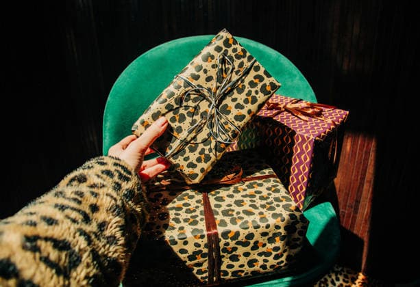 Female hand taking a stylish leopard print gift from a green armchair model released, Symbolfoto, VSNF05193