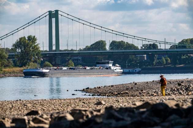 Niedrigwasser im Rhein bei Köln, Blick vom rechtsrheinischen Ufer am Rheinpark Richtung Norden, Mülheimer Rheinbrücke, die Binnenschifffahrt ist stark eingeschränkt, nur wenige Schiffe fahren, dann mit stark reduzierter Ladung, am Tag der Aufnahme war es bis dato der tiefste je gemessener Rheinpegel in Köln, 60 cm, NRW, Deutschland Niedrigwasser Rhein K *** Low water levels in the Rhine near Cologne, View looking north from the right bank of the Rhine at Rheinpark, Mülheim Rhine Bridge; inland waterway traffic is severely restricted, with only a few ships sailing—and those with greatly reduced cargo. On the day this photo was taken, the Rhine water level in Cologne was the lowest ever recorded to date: 60 cm, North Rhine-Westphalia, Ge