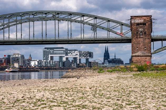 Niedrigwasser im Rhein bei Köln, Blick vom rechtsrheinischen Ufer über die Poller Wiesen, Richtung Norden, Südbrücke, Skyline der Innenstadt mit dem Dom, die Binnenschifffahrt ist stark eingeschränkt, nur wenige Schiffe fahren, dann mit stark reduzierter Ladung, am Tag der Aufnahme war es bis dato der tiefste je gemessener Rheinpegel in Köln, 60 cm, NRW, Deutschland Niedrigwasser Rhein K *** Low water levels on the Rhine near Cologne; view from the right bank of the Rhine across the Poller Wiesen, looking north toward the Südbrücke, the downtown skyline with the cathedral; inland waterway shipping is severely restricted, with only a few ships operating—and those with greatly reduced cargo; on the day this photo was taken, the Rhine wa