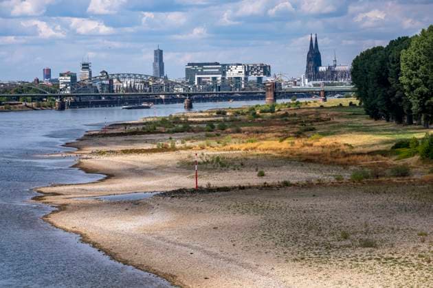Niedrigwasser im Rhein bei Köln, Blick vom rechtsrheinischen Ufer über die Poller Wiesen, Richtung Norden, Südbrücke, Skyline der Innenstadt mit dem Dom, die Binnenschifffahrt ist stark eingeschränkt, nur wenige Schiffe fahren, dann mit stark reduzierter Ladung, am Tag der Aufnahme war es bis dato der tiefste je gemessener Rheinpegel in Köln, 60 cm, NRW, Deutschland Niedrigwasser Rhein K *** Low water levels on the Rhine near Cologne; view from the right bank of the Rhine across the Poller Wiesen, looking north toward the Südbrücke, the downtown skyline with the cathedral; inland waterway shipping is severely restricted, with only a few ships operating—and those with greatly reduced cargo; on the day this photo was taken, the Rhine wa