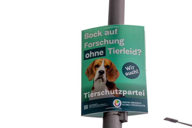 Wahl zum Abgeordnetenhaus, Wahlplakate in Berlin, 07.08.2026 Plakat: Tierschutzpartei - Wahlplakate der Parteien zur 20.Wahl des Abgeordnetenhauses von Berlin und den Bezirksverordnetenversammlungen, Berliner Stadtgebiet, Berlin, 07.8.26 Berlin Berliner Stadtgebiet Berlin Deutschland *** Election to the House of Representatives, campaign posters in Berlin, August 7, 2026: Animal Protection Party campaign poster; campaign posters from the various parties for the 20th election to the Berlin House of Representatives and the district councils; Berlin metropolitan area, Berlin, August 7, 2026; Berlin metropolitan area, Berlin, Germany Copyright: xHolgerxMuchx