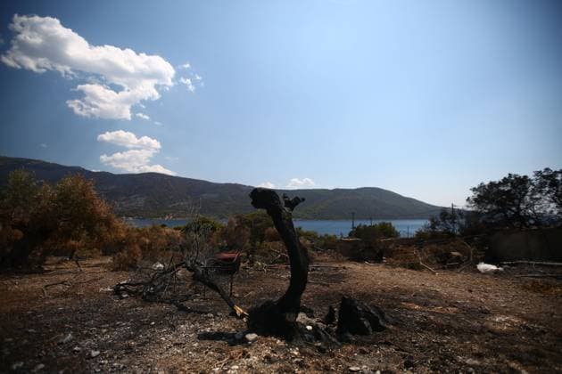 August 8, 2026, Porto Germeno, Greece: PORTO GERMENO, Greece Ã¢â‚¬ August 8, 2026: Five days after a wildfire swept through Porto Germeno, burned forests, damaged homes, and destroyed property remain across the affected area. With most residents evacuated, workers and emergency personnel continue clearing damaged areas, restoring infrastructure, and monitoring the fire-scarred landscape. Photos by JNA Press. Porto Germeno Greece - ZUMAq101 20260808_zna_q101_168 Copyright: xHarrisxXanthopoulosx