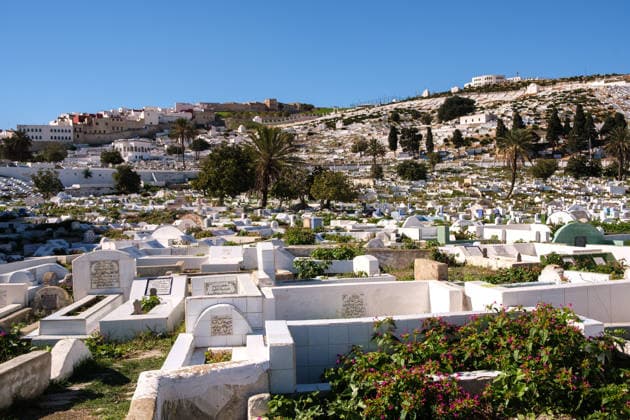MOROCCO TETOUAN HILLSIDE CEMETERY GRAVES A wide view of whitewashed tombs with Arabic inscriptions, palm trees, and flowering plants in the Muslim hillside cemetery on the slopes of Jbel Dersa in Tetouan, the Tangier-Tetouan-Al Hoceima region, Morocco, on November 7, 2023. The cemetery stretches across the hillside next to the old city, with dense rows of graves, urban buildings, distant fortifications, and the Rif mountain terrain in northern Morocco. Wide view of whitewashed tombs with Arabic inscriptions, palm trees, and flowering plants in the Muslim hillside cemetery on the slopes of Jbel Dersa in Tetouan, in the Tangier-Tetouan-Al Hoceima region, Morocco on November 7, 2023. The cemetery stretches across the hillside near the old cit 