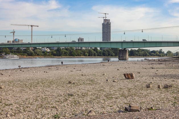 Sommer im Rheinland. Blick auf den Rhein bei Koeln (Köln) - Deutz. Der Rhein in Koeln (Köln) fuehrt (führt) Niedrigwasser aufgrund anhaltender Trockenheit. Im Hintergrund die Zoobruecke (Zoobrücke) und das AXA Hochhaus. Sommer im Rheinland am 09.08.2026 in Koeln (Köln) Deutschland. *** Summer in the Rhineland: View of the Rhine near Cologne (Deutz). The Rhine in Cologne is at low water levels due to persistent drought. In the background are the Zoobrücke bridge and the AXA skyscraper. Summer in the Rhineland on August 9, 2026, in Cologne, Germany