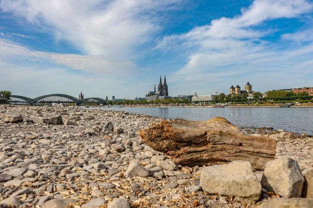 Sommer im Rheinland. Blick auf den Rhein bei Koeln (Köln) - Deutz. Der Rhein in Koeln (Köln) fuehrt (führt) Niedrigwasser aufgrund anhaltender Trockenheit. Im Hintergrund die Hohenzollernbruecke (Hohenzollernbrücke) (links) und der Koelner (Kölner) Dom (rechts). Sommer im Rheinland am 09.08.2026 in Koeln (Köln) Deutschland. *** Summer in the Rhineland: View of the Rhine near Cologne (Deutz). The Rhine in Cologne is at low water levels due to persistent drought. In the background, the Hohenzollern Bridge is on the left and Cologne Cathedral is on the right. Summer in the Rhineland on August 9, 2026 in Cologne, Germany