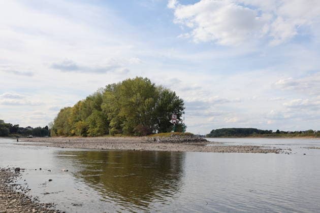 RECORD DATE NOT STATED Bad Honnef GER, Natur, Klima, Sommer, Trockenheit, Rhein, Niedrigwasser, Rheininsel Herseler Werth, Bornheim-Hersel, Nordrhein-Westfalen, Deutschland, 08.08.2026 Die Trockenheit laesst den Rheinpegel, hier am Herseler Werth in Bornheim-Hersel auf ein Mindestmass sinken GER, Natur, Klima, Sommer, Trockenheit, Rhein, Niedrigwasser, Rheininsel Herseler Werth, Bornheim-Hersel, Nordrhein-Westfalen, Deutschland, 08.08.2026 *** Bad Honnef, Germany, Nature, Climate, Summer, Drought, Rhine, Low Water, Herseler Werth Island, Bornheim Hersel, North Rhine-Westphalia, Germany, August 8, 2026: The drought is causing the Rhine water level—here at Herseler Werth in Bornheim Hersel—to drop to a minimum GER, Nature, Climate, Summer, Drought, Rhine, Lo Copyright: xEibner-Pressefoto JuergenxAugstx EP_JAT