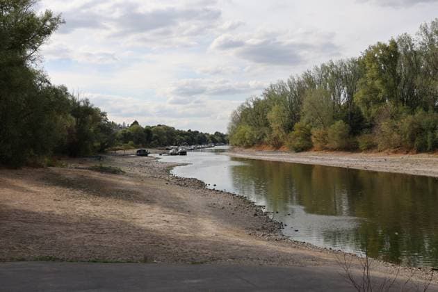 RECORD DATE NOT STATED Bad Honnef GER, Natur, Klima, Sommer, Trockenheit, Rhein, Niedrigwasser, Rheininsel Herseler Werth, Bornheim-Hersel, Nordrhein-Westfalen, Deutschland, 08.08.2026 Die Trockenheit laesst den Rheinpegel, hier am Herseler Werth in Bornheim-Hersel auf ein Mindestmass sinken GER, Natur, Klima, Sommer, Trockenheit, Rhein, Niedrigwasser, Rheininsel Herseler Werth, Bornheim-Hersel, Nordrhein-Westfalen, Deutschland, 08.08.2026 *** Bad Honnef, Germany, Nature, Climate, Summer, Drought, Rhine, Low Water, Herseler Werth Island, Bornheim Hersel, North Rhine-Westphalia, Germany, August 8, 2026: The drought is causing the Rhine water level—here at Herseler Werth in Bornheim Hersel—to drop to a minimum GER, Nature, Climate, Summer, Drought, Rhine, Lo Copyright: xEibner-Pressefoto JuergenxAugstx EP_JAT