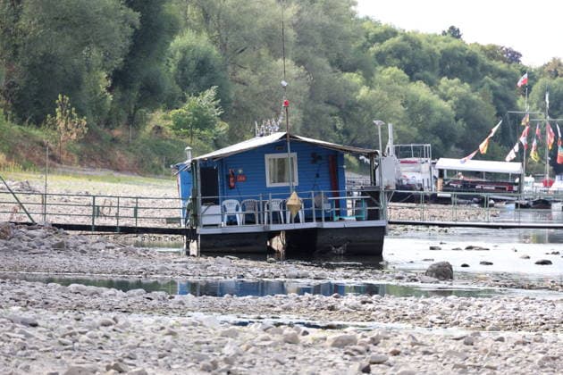 RECORD DATE NOT STATED Bad Honnef GER, Natur, Klima, Sommer, Trockenheit, Rhein, Niedrigwasser, Rheininsel Herseler Werth, Bornheim-Hersel, Nordrhein-Westfalen, Deutschland, 08.08.2026 Die Trockenheit laesst den Rheinpegel, hier am Herseler Werth in Bornheim-Hersel auf ein Mindestmass sinken GER, Natur, Klima, Sommer, Trockenheit, Rhein, Niedrigwasser, Rheininsel Herseler Werth, Bornheim-Hersel, Nordrhein-Westfalen, Deutschland, 08.08.2026 *** Bad Honnef, Germany, Nature, Climate, Summer, Drought, Rhine, Low Water, Herseler Werth Island, Bornheim Hersel, North Rhine-Westphalia, Germany, August 8, 2026: The drought is causing the Rhine water level—here at Herseler Werth in Bornheim Hersel—to drop to a minimum GER, Nature, Climate, Summer, Drought, Rhine, Lo Copyright: xEibner-Pressefoto JuergenxAugstx EP_JAT