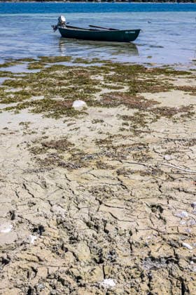 A rowboat is moored to a buoy far from the actual shore of Lake Constance. The low water level is a cause for concern. Access to the water is difficult. August 7, 2026, Reichenau, Baden-Württemberg, Germany