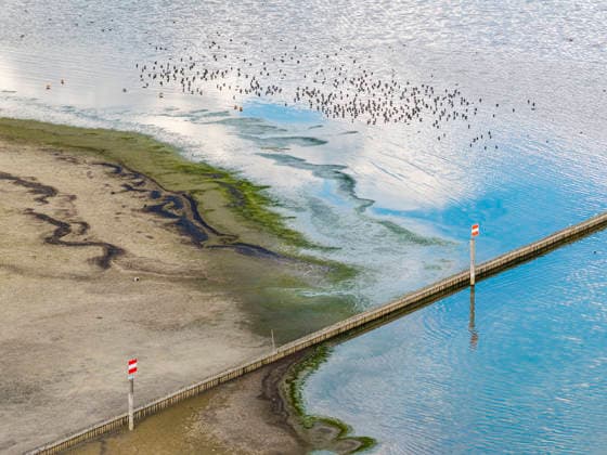 The mouth of the Radolfzell Aach at the Port of Moos on Lake Constance, with very little water. Water levels are at a record low due to the hot summer. Many ports on the Untersee have almost no water left. Moos is located on the shore of Lake Constance on the Höri Peninsula. August 6, 2026, Moos, Baden-Württemberg, Germany