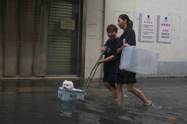 Typhoon Dolphin Arrives To Shanghai A young girl walks with her dog in a box in a flooded neighborhood near Changle Road in Shanghai, China, as Typhoon Dolphin approaches the city. shanghai China  Copyright: xYingxTangx originalFilename: tang-typhoond260809_np3gW.jpg