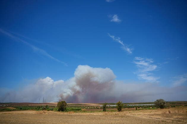 The fire in Niebla, Huelva, has now spread across 8,000 hectares and has forced more than 400 people to evacuate The fire in Niebla, Huelva, has now spread across 8,000 hectares and has forced more than 400 people to evacuate As of August 9, 2026 in Niebla, Huelva, Andalusia, Spain The wildfire that broke out this past Thursday in Niebla, Huelva, has now spread across 8,000 hectares, and 474 people remain evacuated. Firefighting efforts this Sunday are focused on the northern and eastern flanks, with the aim of completely enclosing the perimeter, which is estimated at about 44 kilometers. AUGUST 9, 2026 Francisco J Niebla, Huelva, Andalusia, Spain Niebla, Huelva, Andalusia, Spain Spain  Copyright: xFranciscoxJ.xOlmox 7707347