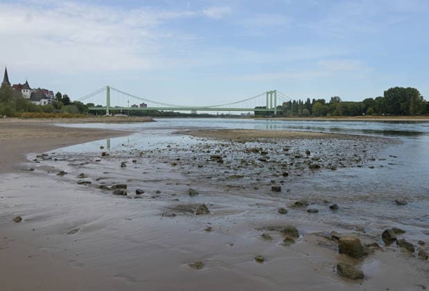 09.08.2026, xophax, öffentliches Leben, Köln, Cologne. Rhein. Niedrigwasser im Rhein. Schifffahrt im Rhein eingeschränkt. Rodenkirchen. Südbrücke. Köln *** August 9, 2026, xophax, public life, Cologne, Low water levels on the Rhine; shipping on the Rhine restricted; Rodenkirchen South Bridge, Cologne