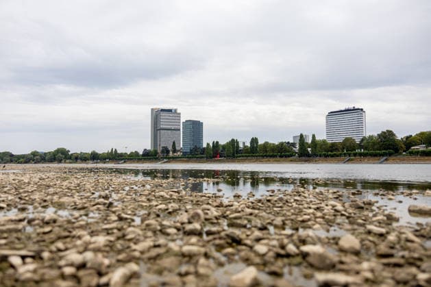 Niedrigwasser am Rhein: Trockenes Flussbett am Beueler Rheinufer in Bonn Niedrigwasser am Rhein: Blick auf das weitgehend trockene Flussbett am Beueler Rheinufer in Bonn bei einem Pegelstand von 78 cm am Pegel Bonn. Buchten und Inseln haben sich mitten im Rheinbett gebildet. Die anhaltende Trockenheit lässt den Rhein weiter sinken, die Binnenschifffahrt ist stark eingeschränkt. Im Hintergrund der DHL Post Tower, Langer Eugen mit dem Climate Tower (UN Campus) und dem Radisson Blu Hotel am WCCB. Bonn Beuel Nordrhein-Westfalen Deutschland *** Low Water on the Rhine: Dry riverbed on the Beuel bank of the Rhine in Bonn Low Water on the Rhine: View of the largely dry riverbed on the Beuel bank of the Rhine in Bonn at a water level of 78 cm at t Copyright: xMarcxJohnx
