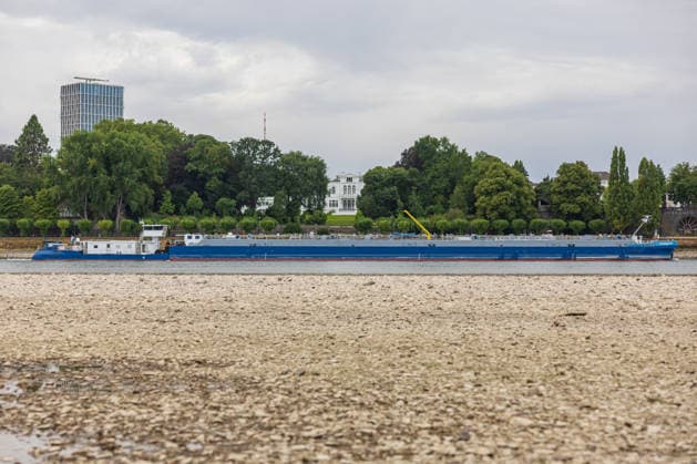 Niedrigwasser am Rhein: Trockenes Flussbett am Beueler Rheinufer in Bonn Niedrigwasser am Rhein: Blick auf das weitgehend trockene Flussbett am Beueler Rheinufer in Bonn bei einem Pegelstand von 78 cm am Pegel Bonn. Die anhaltende Trockenheit lässt den Rhein weiter sinken, die Binnenschifffahrt ist stark eingeschränkt. Bonn Beuel Nordrhein-Westfalen Deutschland *** Low Water Levels on the Rhine: Dry Riverbed on the Beuel Bank of the Rhine in Bonn; Low Water Levels on the Rhine: View of the largely dry riverbed on the Beuel bank of the Rhine in Bonn, with a water level of 78 cm at the Bonn gauge. The ongoing drought is causing the Rhine’s water level to continue to drop, and inland waterway shipping is severely restricted Bonn Beuel North Copyright: xMarcxJohnx