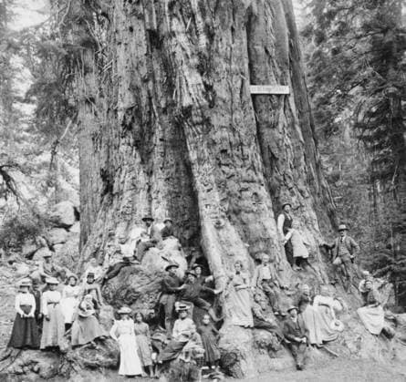 Besuchergruppe posiert vor dem Mammutbaum General Grant , Riesenmammutbaum (Sequoiadendron giganteum), galt lange als größter Baum der Welt, etwa 1902, historisch, Yosemite Nationalpark, Kalifornien, USA A group of visitors poses in front of the ‘General Grant sequoia, a giant sequoia (Sequoiadendron giganteum), which was long considered the largest tree in the world, circa 1902, historical, Yosemite National Park, California, USA Copyright: imageBROKER our-planet.berlin iblhek18368464.jpg