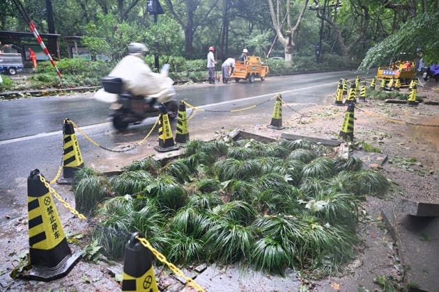 HANGZHOU, CHINA - AUGUST 10: Fallen trees are cleared from Yanggong Causeway at West Lake on August 10, 2026 in Hangzhou, Zhejiang Province of China. Typhoon Dolphin, the 13th typhoon of the year, brought strong winds and heavy rain to the city, causing damage to construction facilities, uprooting trees and flooding roads.  Copyright: xChinaxNewsxServicex 111659086919