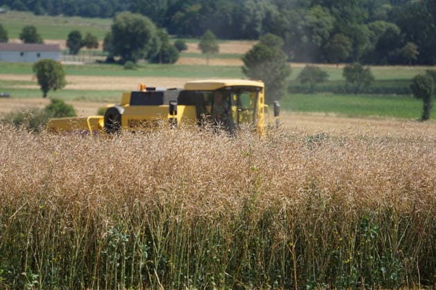 Rapsernte in Eilensen im Landkreis Northeim am Solling in Deutschland im Bundesland Niedersachsen. Maehdrescher der Marke New Holland drescht Raps auf trockenem Feld bei sonnigem Sommerwetter. Rapsernte 2026 in Niedersachsen *** Rapeseed harvest in Eilensen in the Northeim am Solling district of Lower Saxony, Germany. A New Holland combine harvester is threshing rapeseed in a dry field under sunny summer skies. 2026 rapeseed harvest in Lower Saxony