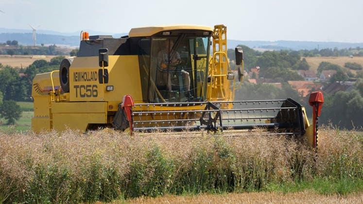 Rapsernte in Eilensen im Landkreis Northeim am Solling in Deutschland im Bundesland Niedersachsen. Maehdrescher der Marke New Holland drescht Raps auf trockenem Feld bei sonnigem Sommerwetter. Rapsernte 2026 in Niedersachsen *** Rapeseed harvest in Eilensen in the Northeim am Solling district of Lower Saxony, Germany. A New Holland combine harvester is threshing rapeseed in a dry field under sunny summer skies. 2026 rapeseed harvest in Lower Saxony