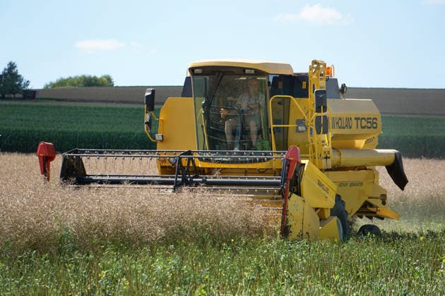 Rapsernte in Eilensen im Landkreis Northeim am Solling in Deutschland im Bundesland Niedersachsen. Maehdrescher der Marke New Holland drescht Raps auf trockenem Feld bei sonnigem Sommerwetter. Rapsernte 2026 in Niedersachsen *** Rapeseed harvest in Eilensen in the Northeim am Solling district of Lower Saxony, Germany. A New Holland combine harvester is threshing rapeseed in a dry field under sunny summer skies. 2026 rapeseed harvest in Lower Saxony