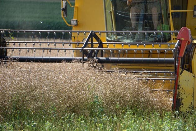 Rapsernte in Eilensen im Landkreis Northeim am Solling in Deutschland im Bundesland Niedersachsen. Maehdrescher der Marke New Holland drescht Raps auf trockenem Feld bei sonnigem Sommerwetter. Rapsernte 2026 in Niedersachsen *** Rapeseed harvest in Eilensen in the Northeim am Solling district of Lower Saxony, Germany. A New Holland combine harvester is threshing rapeseed in a dry field under sunny summer skies. 2026 rapeseed harvest in Lower Saxony
