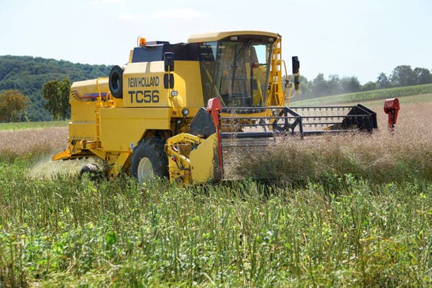 Rapsernte in Eilensen im Landkreis Northeim am Solling in Deutschland im Bundesland Niedersachsen. Maehdrescher der Marke New Holland drescht Raps auf trockenem Feld bei sonnigem Sommerwetter. Rapsernte 2026 in Niedersachsen *** Rapeseed harvest in Eilensen in the Northeim am Solling district of Lower Saxony, Germany. A New Holland combine harvester is threshing rapeseed in a dry field under sunny summer skies. 2026 rapeseed harvest in Lower Saxony