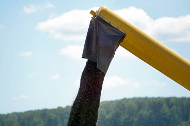 Rapsernte in Eilensen im Landkreis Northeim am Solling in Deutschland im Bundesland Niedersachsen. Maehdrescher der Marke New Holland drescht Raps auf trockenem Feld bei sonnigem Sommerwetter. Rapsernte 2026 in Niedersachsen *** Rapeseed harvest in Eilensen in the Northeim am Solling district of Lower Saxony, Germany. A New Holland combine harvester is threshing rapeseed in a dry field under sunny summer skies. 2026 rapeseed harvest in Lower Saxony