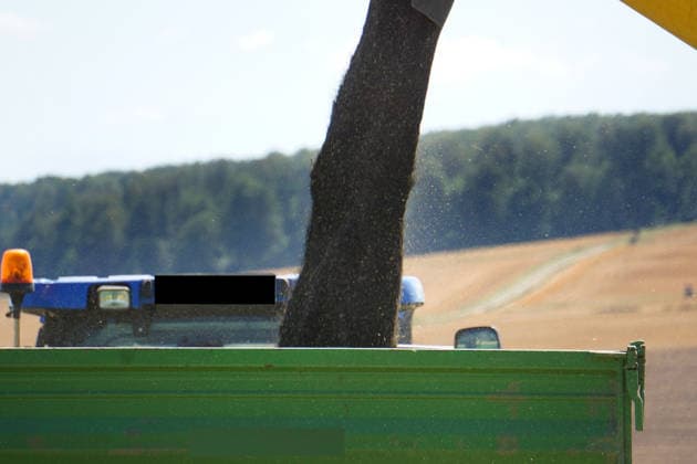 Rapsernte in Eilensen im Landkreis Northeim am Solling in Deutschland im Bundesland Niedersachsen. Maehdrescher der Marke New Holland drescht Raps auf trockenem Feld bei sonnigem Sommerwetter. Rapsernte 2026 in Niedersachsen *** Rapeseed harvest in Eilensen in the Northeim am Solling district of Lower Saxony, Germany. A New Holland combine harvester is threshing rapeseed in a dry field under sunny summer skies. 2026 rapeseed harvest in Lower Saxony
