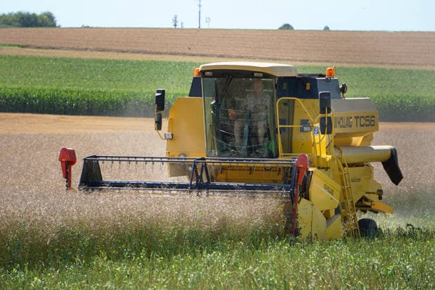 Rapsernte in Eilensen im Landkreis Northeim am Solling in Deutschland im Bundesland Niedersachsen. Maehdrescher der Marke New Holland drescht Raps auf trockenem Feld bei sonnigem Sommerwetter. Rapsernte 2026 in Niedersachsen *** Rapeseed harvest in Eilensen in the Northeim am Solling district of Lower Saxony, Germany. A New Holland combine harvester is threshing rapeseed in a dry field under sunny summer skies. 2026 rapeseed harvest in Lower Saxony