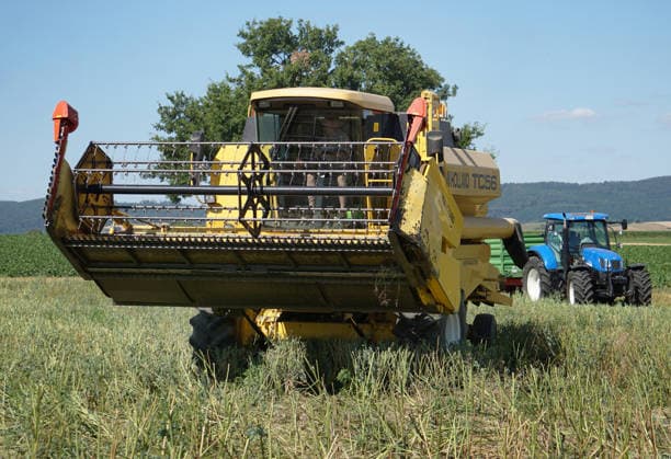 Rapsernte in Eilensen im Landkreis Northeim am Solling in Deutschland im Bundesland Niedersachsen. Maehdrescher der Marke New Holland drescht Raps auf trockenem Feld bei sonnigem Sommerwetter. Rapsernte 2026 in Niedersachsen *** Rapeseed harvest in Eilensen in the Northeim am Solling district of Lower Saxony, Germany. A New Holland combine harvester is threshing rapeseed in a dry field under sunny summer skies. 2026 rapeseed harvest in Lower Saxony