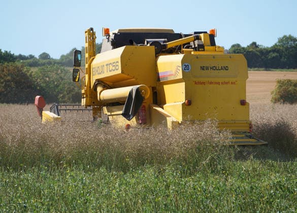 Rapsernte in Eilensen im Landkreis Northeim am Solling in Deutschland im Bundesland Niedersachsen. Maehdrescher der Marke New Holland drescht Raps auf trockenem Feld bei sonnigem Sommerwetter. Rapsernte 2026 in Niedersachsen *** Rapeseed harvest in Eilensen in the Northeim am Solling district of Lower Saxony, Germany. A New Holland combine harvester is threshing rapeseed in a dry field under sunny summer skies. 2026 rapeseed harvest in Lower Saxony