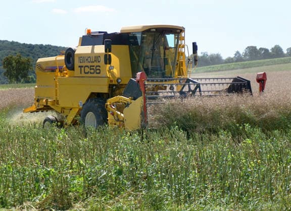 Rapsernte in Eilensen im Landkreis Northeim am Solling in Deutschland im Bundesland Niedersachsen. Maehdrescher der Marke New Holland drescht Raps auf trockenem Feld bei sonnigem Sommerwetter. Rapsernte 2026 in Niedersachsen *** Rapeseed harvest in Eilensen in the Northeim am Solling district of Lower Saxony, Germany. A New Holland combine harvester is threshing rapeseed in a dry field under sunny summer skies. 2026 rapeseed harvest in Lower Saxony