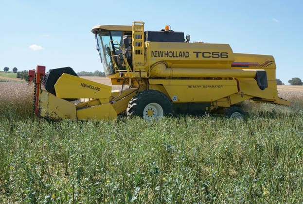 Rapsernte in Eilensen im Landkreis Northeim am Solling in Deutschland im Bundesland Niedersachsen. Maehdrescher der Marke New Holland drescht Raps auf trockenem Feld bei sonnigem Sommerwetter. Rapsernte 2026 in Niedersachsen *** Rapeseed harvest in Eilensen in the Northeim am Solling district of Lower Saxony, Germany. A New Holland combine harvester is threshing rapeseed in a dry field under sunny summer skies. 2026 rapeseed harvest in Lower Saxony