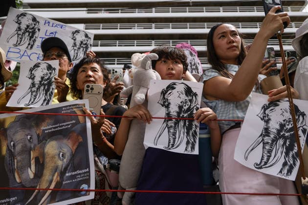 August 10, 2026, Bangkok, Thailand: Thai elephant lovers call for two elephants to be returned from Sri Lanka. Thai elephant lovers gather outside the Sri Lankan Embassy in Bangkok, calling on Sri Lanka to return the two Thai goodwill ambassador elephants, Plai Pratu Pha and Plai Plai Srinarong, to Thailand, after reports that the elephants have been overworked, in Bangkok, Thailand, August 10, 2026. Bangkok Thailand - ZUMAs197 20260810_aaa_s197_018 Copyright: xNattaphonxPhanphongsanonx