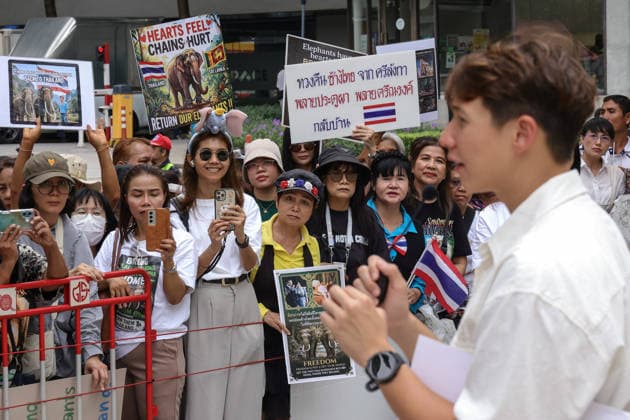 August 10, 2026, Bangkok, Thailand: Thai elephant lovers call for two elephants to be returned from Sri Lanka. Thai elephant lovers gather outside the Sri Lankan Embassy in Bangkok, calling on Sri Lanka to return the two Thai goodwill ambassador elephants, Plai Pratu Pha and Plai Plai Srinarong, to Thailand, after reports that the elephants have been overworked, in Bangkok, Thailand, August 10, 2026. Bangkok Thailand  - ZUMAs197 20260810_aaa_s197_012 Copyright: xNattaphonxPhanphongsanonx