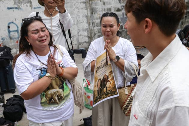 August 10, 2026, Bangkok, Thailand: Thai elephant lovers call for two elephants to be returned from Sri Lanka. Thai elephant lovers gather outside the Sri Lankan Embassy in Bangkok, calling on Sri Lanka to return the two Thai goodwill ambassador elephants, Plai Pratu Pha and Plai Plai Srinarong, to Thailand, after reports that the elephants have been overworked, in Bangkok, Thailand, August 10, 2026. Bangkok Thailand  - ZUMAs197 20260810_aaa_s197_017 Copyright: xNattaphonxPhanphongsanonx
