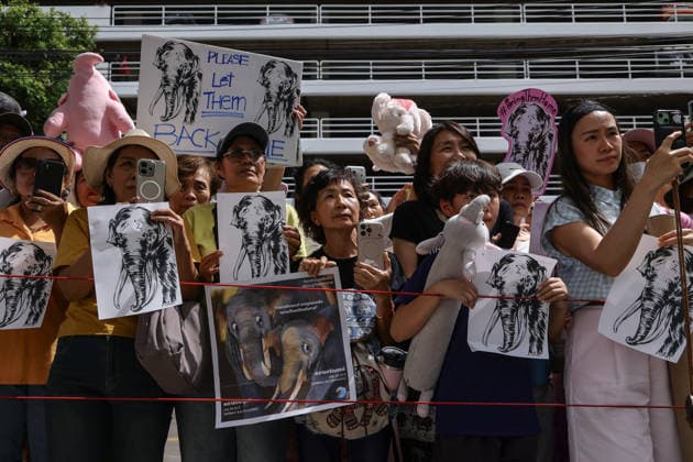 August 10, 2026, Bangkok, Thailand: Thai elephant lovers call for two elephants to be returned from Sri Lanka. Thai elephant lovers gather outside the Sri Lankan Embassy in Bangkok, calling on Sri Lanka to return the two Thai goodwill ambassador elephants, Plai Pratu Pha and Plai Plai Srinarong, to Thailand, after reports that the elephants have been overworked, in Bangkok, Thailand, August 10, 2026. Bangkok Thailand  - ZUMAs197 20260810_aaa_s197_024 Copyright: xNattaphonxPhanphongsanonx