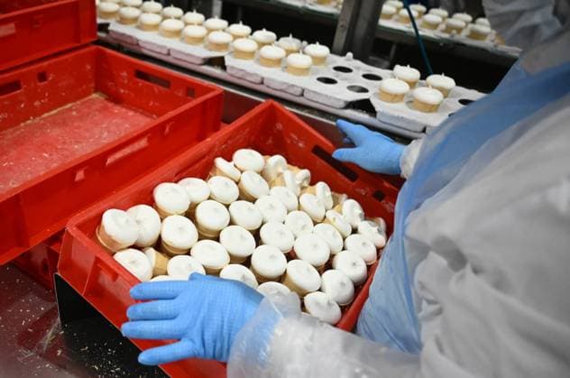 Russia Food Industry 9220039 10.08.2026 An employee works on an ice cream production line at the Chistaya Liniya (Clean Line) plant, in Moscow Region, Russia. Maksim Blinov Sputnik Moscow region Russia  Copyright: xMaksimxBlinovx