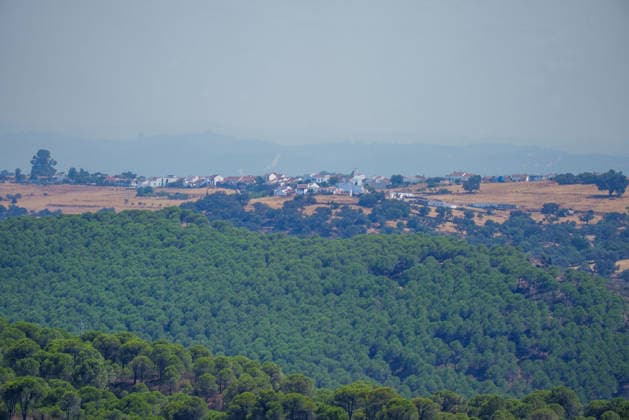 The Seville municipality of El Madrono has been evacuated due to the spread of the wildfire in Niebla, Huelva. The wildfire in Niebla, Huelva, threatens the Seville town of El Madrono. August 10, 2028, in El Madrono, Seville, Andalusia, Spain An evacuation order has been issued for the Seville municipality of El Madrono and its four hamlets due to the spread of the wildfire that broke out in Niebla, Huelva. The Forward Command Post has estimated that 286 people have been affected across the municipality and its four hamlets. AUGUST 10, 2026 Francisco J El Madrono, Seville, Andalusia, El Madrono, Seville, Andalusia, Spain  Copyright: xFranciscoxJ.xOlmox 7708741