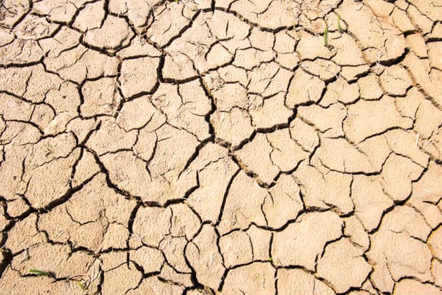 Trockenheit und Wassermangel Rissiger und trockener Boden als Symbolbild für Wassermangel, Trockenheit, Dürre und Hitze - FOTOMONTAGE - NUR FÜR REDAKTIONELLE VERWENDUNG *** Drought and Water Shortage: Cracked and dry soil as a symbolic image of water shortage, drought, and heat. PHOTOMONTAGE FOR EDITORIAL USE ONLY