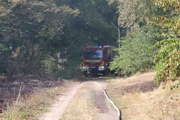 Waldbrand breitet sich bis nach Bayern aus Hubschrauber und Waldbrandflugzeug im Einsatz Polizei ermittelt wegen Brandstiftung Im Wald rund um Rodenbach im Main-Kinzig-Kreis brannte es am 10.08.2026 an mehreren Stellen, betroffen war eine Fläche von mehreren Tausend Quadratmetern. Mehrere hundert Feuerwehrleute sowie Polizeikräfte waren im Einsatz, unterstützt von zwei hessischen Polizeihubschraubern, einem bayerischen Hubschrauber mit Wasserwerfer und einem Waldbrandbeobachtungsflugzeug aus Bayern. Am Nachmittag griff das Feuer bis in Richtung der bayerischen Landesgrenze über, wo bayerische Löschzüge und Waldbrandlöschfahrzeuge ein weiteres Übergreifen verhinderten. Eine nahegelegene Wochenendhaussiedlung musste vorüberge