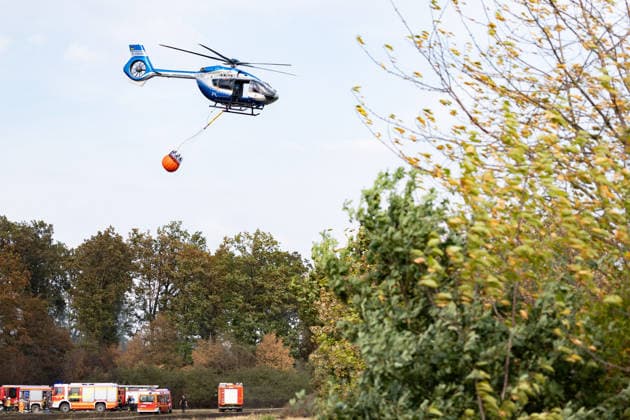 Feuerwehr kämpft bei Buschhoven gegen Flächenbrand am Waldrand Bei Buschhoven (Gemeinde Swisttal) breitet sich ein Flächenbrand aus: Ein zunächst brennendes Feld hat sich durch starken Wind auf angrenzenden Wald ausgeweitet, mehr als 10.000 Quadratmeter sind betroffen. Rund 150 Einsatzkräfte der Feuerwehr aus Swisttal, Alfter, Rheinbach und Weilerswist kämpfen gegen die Flammen, ein Polizeihubschrauber unterstützt die Löscharbeiten aus der Luft. Swisttal Buschhoven Nordrhein-Westfalen Deutschland *** Firefighters Battle Wildfire at the Edge of the Forest Near Buschhoven A wildfire is spreading near Buschhoven in the municipality of Swisttal. What began as a field fire has spread to the adjacent forest due to strong winds; more than Copyright: xMarcxJohnx