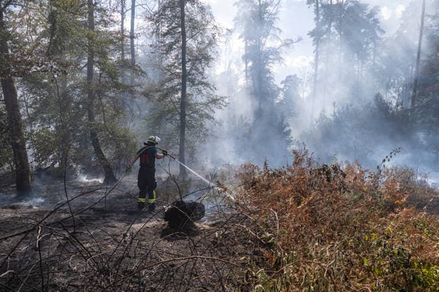 Vier Feuer lodern im Wald Fläche von mehreren Tausend Quadratmetern betroffen Ferienhaussiedlung nur knapp verschont In Rodenbach brennt es seit dem 10.08.2026 an vier Stellen im Wald zwischen den Ortsteilen Ober- und Niederrodenbach. Nach aktuellen Informationen erstreckt sich das Feuer auf einer Fläche von mehreren Tausend Quadratmetern, die Ursache ist zunächst unklar. Das Feuer breitete sich zunächst auch in Richtung einer nahegelegenen Ferienhaussiedlung aus, blieb dieser jedoch dank des Eingreifens der Feuerwehr fern. Die Löscharbeiten dauern nach aktuellen Informationen an, im Einsatz sind umfangreiche Feuerwehrkräfte auch aus dem benachbarten Aschaffenburg. Rodenbach Hessen Deutschland *** Four fires are raging in the