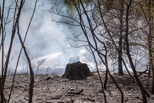 Vier Feuer lodern im Wald Fläche von mehreren Tausend Quadratmetern betroffen Ferienhaussiedlung nur knapp verschont In Rodenbach brennt es seit dem 10.08.2026 an vier Stellen im Wald zwischen den Ortsteilen Ober- und Niederrodenbach. Nach aktuellen Informationen erstreckt sich das Feuer auf einer Fläche von mehreren Tausend Quadratmetern, die Ursache ist zunächst unklar. Das Feuer breitete sich zunächst auch in Richtung einer nahegelegenen Ferienhaussiedlung aus, blieb dieser jedoch dank des Eingreifens der Feuerwehr fern. Die Löscharbeiten dauern nach aktuellen Informationen an, im Einsatz sind umfangreiche Feuerwehrkräfte auch aus dem benachbarten Aschaffenburg. Rodenbach Hessen Deutschland *** Four fires are raging in the