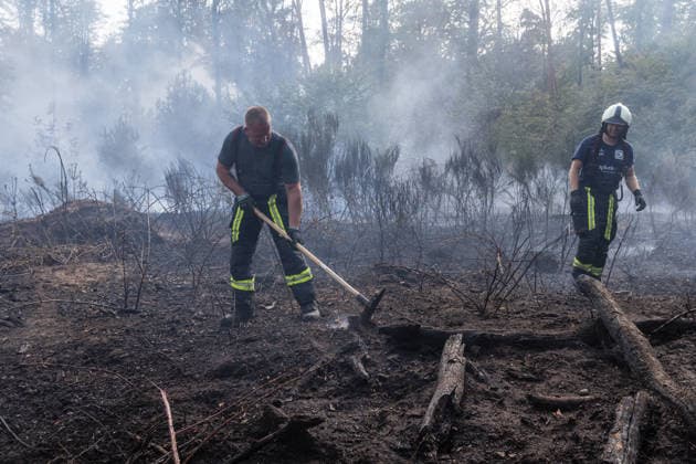 Vier Feuer lodern im Wald Fläche von mehreren Tausend Quadratmetern betroffen Ferienhaussiedlung nur knapp verschont In Rodenbach brennt es seit dem 10.08.2026 an vier Stellen im Wald zwischen den Ortsteilen Ober- und Niederrodenbach. Nach aktuellen Informationen erstreckt sich das Feuer auf einer Fläche von mehreren Tausend Quadratmetern, die Ursache ist zunächst unklar. Das Feuer breitete sich zunächst auch in Richtung einer nahegelegenen Ferienhaussiedlung aus, blieb dieser jedoch dank des Eingreifens der Feuerwehr fern. Die Löscharbeiten dauern nach aktuellen Informationen an, im Einsatz sind umfangreiche Feuerwehrkräfte auch aus dem benachbarten Aschaffenburg. Rodenbach Hessen Deutschland *** Four fires are raging in the