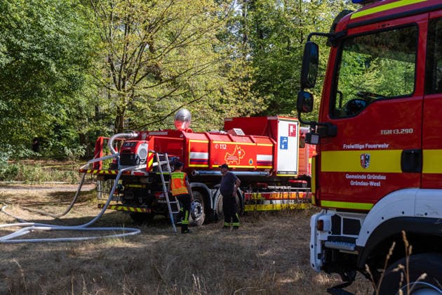 Vier Feuer lodern im Wald Fläche von mehreren Tausend Quadratmetern betroffen Ferienhaussiedlung nur knapp verschont In Rodenbach brennt es seit dem 10.08.2026 an vier Stellen im Wald zwischen den Ortsteilen Ober- und Niederrodenbach. Nach aktuellen Informationen erstreckt sich das Feuer auf einer Fläche von mehreren Tausend Quadratmetern, die Ursache ist zunächst unklar. Das Feuer breitete sich zunächst auch in Richtung einer nahegelegenen Ferienhaussiedlung aus, blieb dieser jedoch dank des Eingreifens der Feuerwehr fern. Die Löscharbeiten dauern nach aktuellen Informationen an, im Einsatz sind umfangreiche Feuerwehrkräfte auch aus dem benachbarten Aschaffenburg. Rodenbach Hessen Deutschland *** Four fires are raging in the