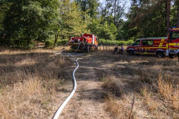 Vier Feuer lodern im Wald Fläche von mehreren Tausend Quadratmetern betroffen Ferienhaussiedlung nur knapp verschont In Rodenbach brennt es seit dem 10.08.2026 an vier Stellen im Wald zwischen den Ortsteilen Ober- und Niederrodenbach. Nach aktuellen Informationen erstreckt sich das Feuer auf einer Fläche von mehreren Tausend Quadratmetern, die Ursache ist zunächst unklar. Das Feuer breitete sich zunächst auch in Richtung einer nahegelegenen Ferienhaussiedlung aus, blieb dieser jedoch dank des Eingreifens der Feuerwehr fern. Die Löscharbeiten dauern nach aktuellen Informationen an, im Einsatz sind umfangreiche Feuerwehrkräfte auch aus dem benachbarten Aschaffenburg. Rodenbach Hessen Deutschland *** Four fires are raging in the