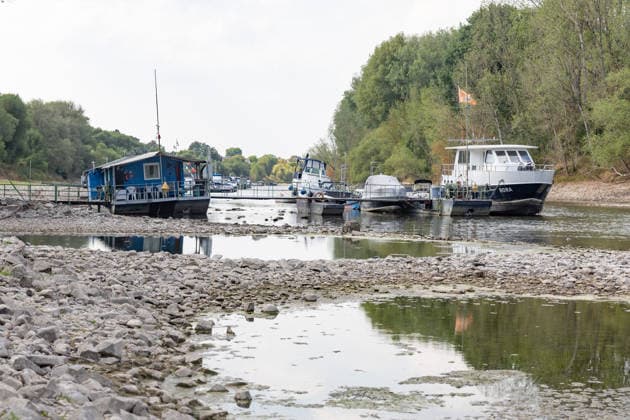 Niedrigwasser am Rhein: Boote und Stege bei Bornheim-Hersel auf Grund Niedrigwasser am Rhein: Bei einem Pegelstand von 74 cm am Pegel Bonn liegt der Rheinarm zwischen Bornheim-Hersel und dem Naturschutzgebiet Herseler Werth größtenteils trocken. Boote und Stege liegen auf dem ausgetrockneten Flussbett auf Grund. Am Rhein werden derzeit historische Tiefstwerte gemessen. Bornheim Hersel Nordrhein-Westfalen Deutschland *** Low Water on the Rhine: Boats and Docks Stranded Near Bornheim Hersel Low Water on the Rhine With the water level at the Bonn gauge standing at 74 cm, the branch of the Rhine between Bornheim Hersel and the Herseler Werth Nature Reserve is largely dry; boats and docks are stranded on the dried-up riverbed. Historic low wat Copyright: xMarcxJohnx