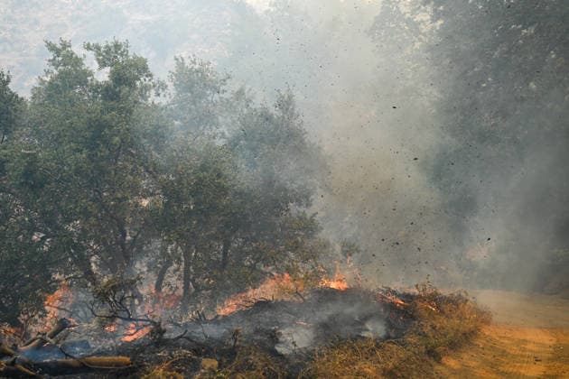 California s Timber Fire of wildfire in Big Sur grows BIG SUR, CALIFORNIA - AUG 10: A view of flames and smoke as Timber Fire of wildfire continues in Big Sur of California, United States on August 10, 2026. Tayfun Coskun Anadolu California United States. Editorial use only. Please get in touch for any other usage.  Copyright: x2026xAnadoluxTayfunxCoskunx